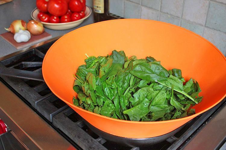 Kitchen Splatter Screen